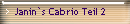 Janin`s Cabrio Teil 2